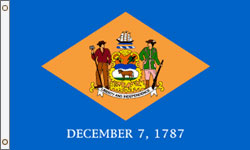 Delaware Flag PRINTED Nylon