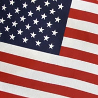 Economy American Flag