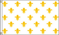 Fleur De Lis 23 White