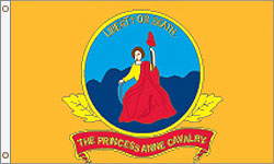 3 x 5 ft. Nylon Princess Anne Cavalry VA 1864 CSA Flag. Printed, Canvas Heading and Brass Grommets