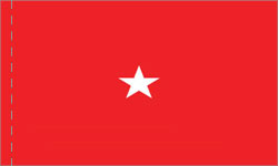 1 Star Brigadier General Army Indoor Plain, No Fringe Flags